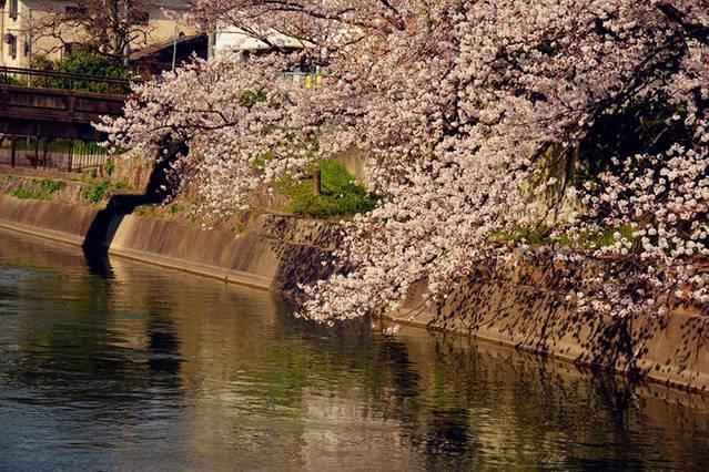 Art Stay In Tofukuji كيوتو المظهر الخارجي الصورة