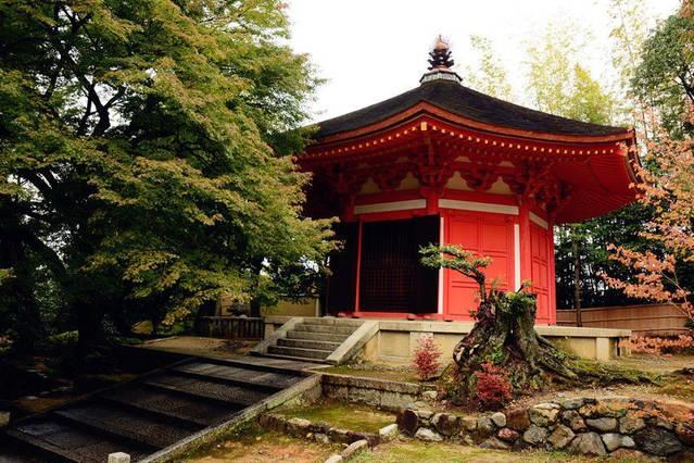 Art Stay In Tofukuji كيوتو المظهر الخارجي الصورة