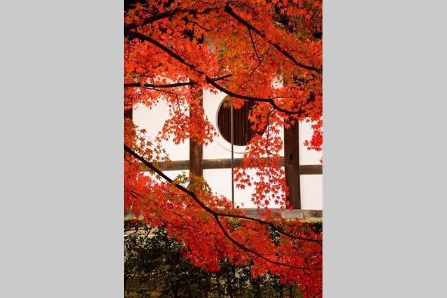 Art Stay In Tofukuji كيوتو المظهر الخارجي الصورة