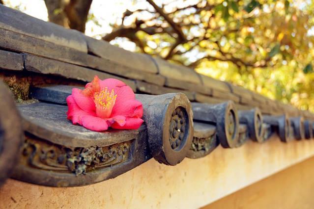Art Stay In Tofukuji كيوتو المظهر الخارجي الصورة